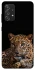 Чохол на Samsung Galaxy A52 4G / A52 5G Leopard v4 фото 1 з 1