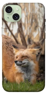 Чохол на Apple iPhone 15 Plus (6.7") Лисиця фото 1 з 1