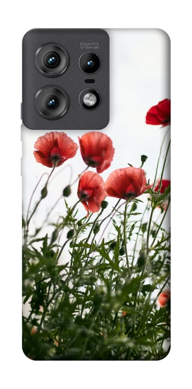 Чохол на Motorola Edge 50 Pro Поле маків фото 1 з 1