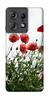 Чохол на Motorola Edge 50 Pro Поле маків фото 1 з 1