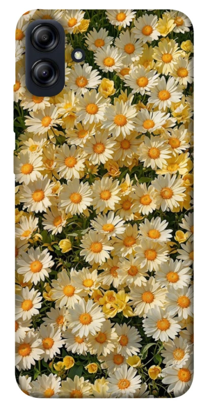 Чохол на Samsung Galaxy A04e Camomile фото 1 з 1