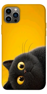 Чохол на Apple iPhone 12 Pro (6.1") This is Cat фото 1 з 1