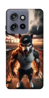 Чохол на Motorola Edge 50 Neo Вовк фото 1 з 1