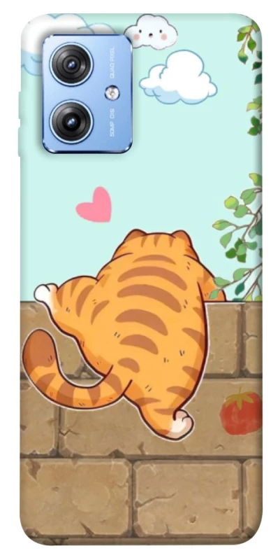 Чохол на Motorola Moto G84 Cat the meow фото 1 з 1