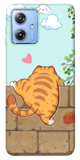 Чохол на Motorola Moto G84 Cat the meow фото 1 з 1