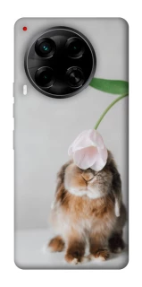 Чохол на TECNO Camon 30 (CL6) Bunny фото 1 з 1