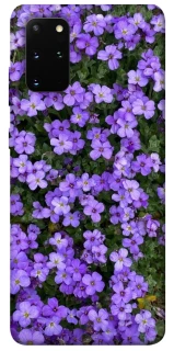 Чохол на Samsung Galaxy S20+ Flowers v17 фото 1 з 1