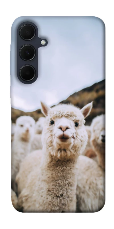 Чехол на Samsung Galaxy A35 Лама фото 1 из 1