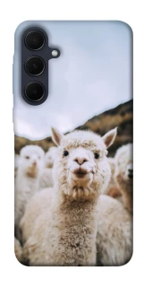 Чохол на Samsung Galaxy A35 Лама фото 1 з 1