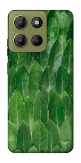 Чехол на Motorola Moto G15 4G Листья фото 1 из 1