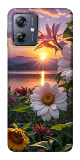 Чохол на Motorola Moto G54 Flowers v31 фото 1 Чохол на Motorola Moto G54 Flowers v31 фото 1 з 1