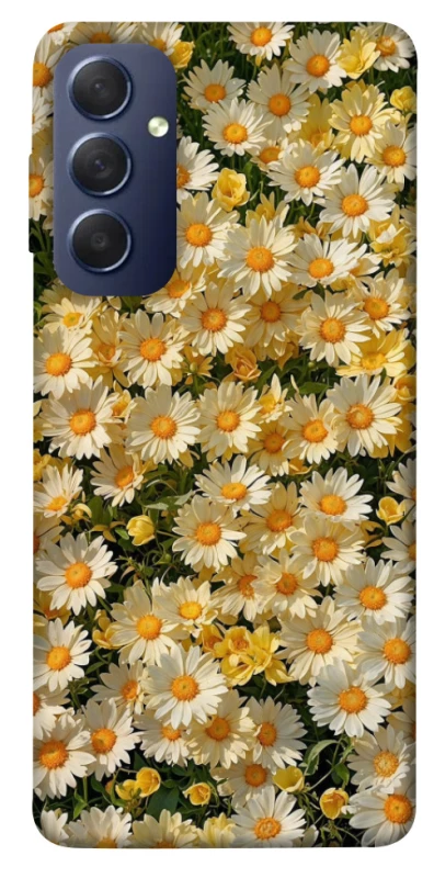 Чохол на Samsung Galaxy M54 5G Camomile фото 1 з 1