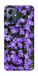 Чехол на Motorola Moto G54 Power Flowers v17 фото 1 из 1