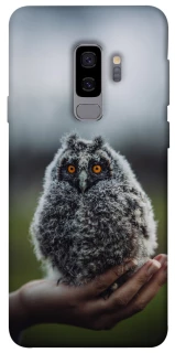Чехол на Samsung Galaxy S9+ Совёнок фото 1 из 1