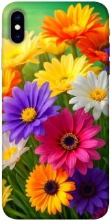 Чехол на Apple iPhone X (5.8") Flowers v32 фото 1 из 1