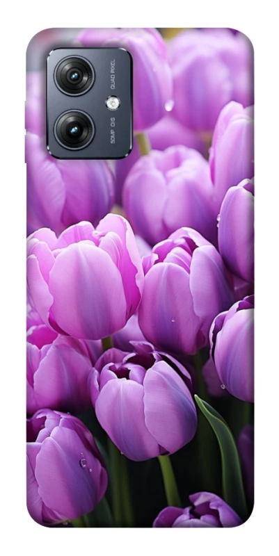 Чехол на Motorola Moto G54 Фиолетовые тюльпаны фото 1 из 1