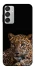 Чехол на Samsung Galaxy M15 5G Leopard v4 фото 1 из 1