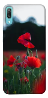 Чехол на Huawei Y6 Pro (2019) Мак фото 1 из 1