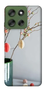 Чехол на Motorola Moto G56 5G Chicks фото 1 из 1