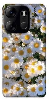 Чехол на Tecno Spark Go 2023 Поле ромашек фото 1 из 1