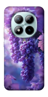 Чохол на Xiaomi Redmi Note 15 Pro+ 5G Bunch of grapes фото 1 з 1