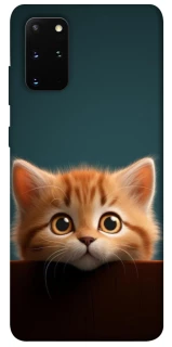 Чохол на Samsung Galaxy S20+ Чохол Кошеня фото 1 з 1