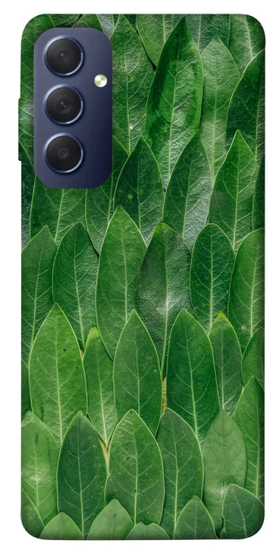 Чехол на Samsung Galaxy M54 5G Листья фото 1 из 1