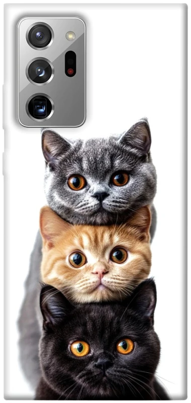 Чохол на Samsung Galaxy Note 20 Ultra Гарні котики фото 1 з 1