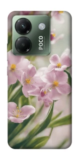 Чохол на Xiaomi Poco M7 pro 5G Spring фото 1 з 1