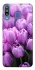 Чехол на Samsung Galaxy M30 Фиолетовые тюльпаны фото 1 из 1