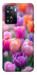 Чохол на OnePlus Nord N20 SE Тюльпанове поле фото 1 з 1