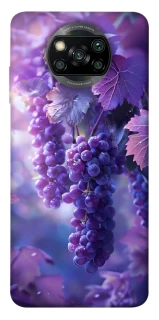 Чехол на Xiaomi Poco X3 NFC / Poco X3 Pro Bunch of grapes фото 1 из 1
