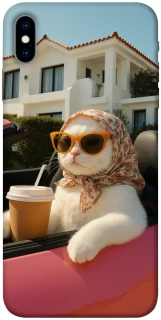 Чохол на Apple iPhone X (5.8") Stylish Cat Cruise фото 1 з 1