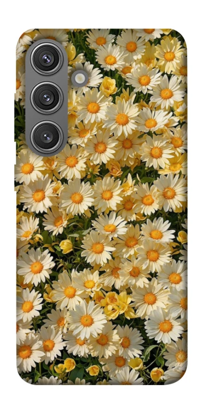 Чохол на Samsung Galaxy S24+ Camomile фото 1 з 1