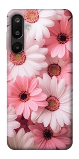 Чехол на Samsung Galaxy M16 5G Розовые цветы v2 фото 1 из 1