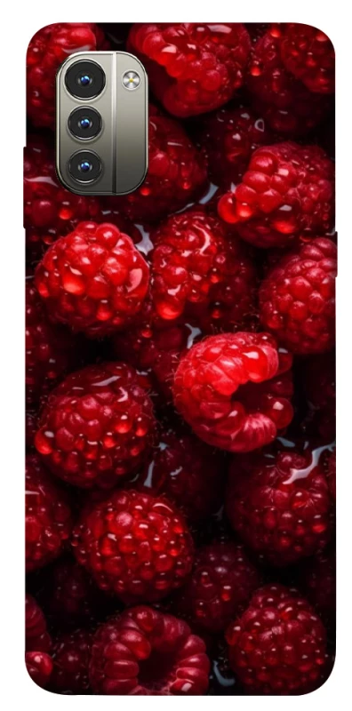 Чехол на Nokia G11 Малинка фото 1 из 1