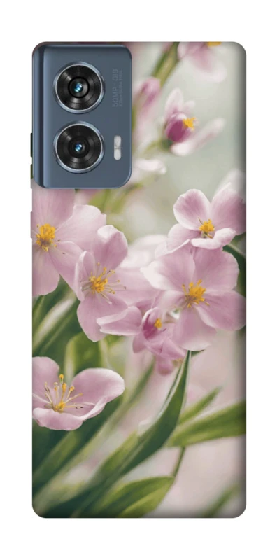 Чехол на Motorola Edge 50 Spring фото 1 из 1
