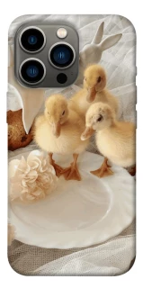 Чохол на Apple iPhone 13 Pro (6.1") Easter Vibes фото 1 з 1