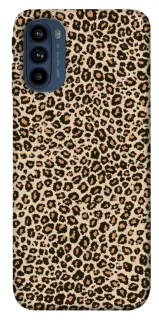 Чохол на Motorola Moto G41 Leopard Skin v2 фото 1 з 1