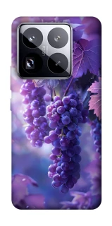Чохол на Xiaomi 15 Pro Bunch of grapes фото 1 з 1