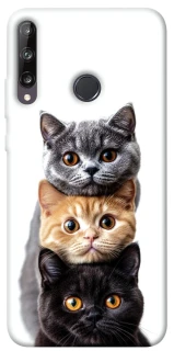Чохол на Huawei P40 Lite E Гарні котики фото 1 з 1