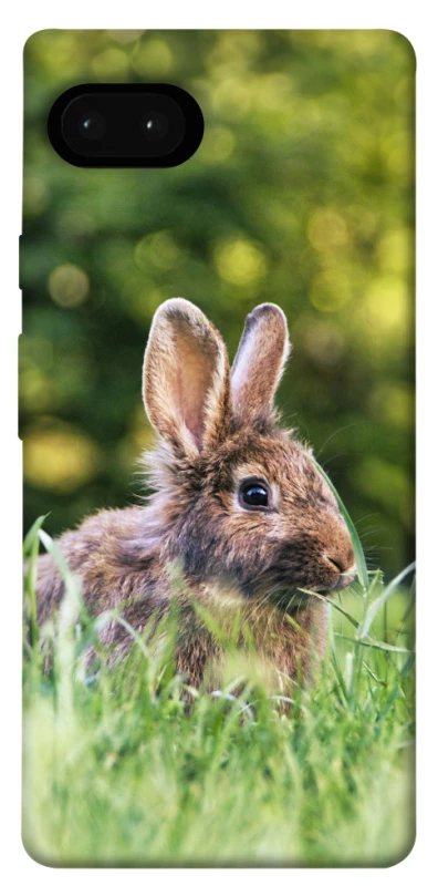Чохол на Google Pixel 7a Кролики фото 1 з 1