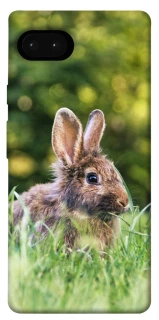 Чохол на Google Pixel 7a Кролики фото 1 з 1