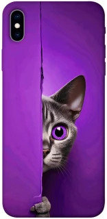 Чохол на Apple iPhone XS Max (6.5") Кіт-підглядач фото 1 з 1