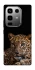 Чехол на Infinix Note 50 Pro Leopard v4 фото 1 из 1