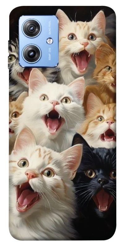 Чохол на Motorola Moto G84 Коти фото 1 з 1