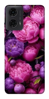 Чохол на Motorola Moto G04 Garden2 фото 1 з 1