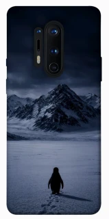 Чехол на OnePlus 8 Pro But why? фото 1 из 1