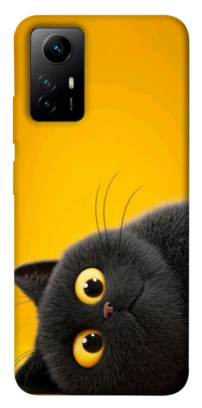 Чехол на Xiaomi Redmi Note 12S This is Cat фото 1 из 1