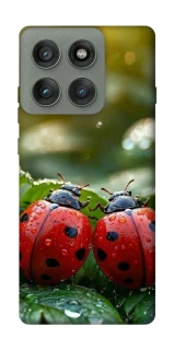 Чехол на Motorola Edge 60 Pro Flowers v23 фото 1 из 1